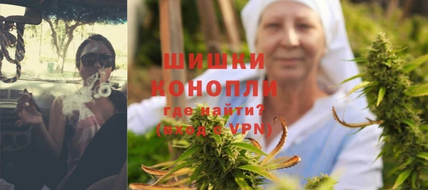 индика Армянск