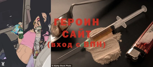шишки Арсеньев
