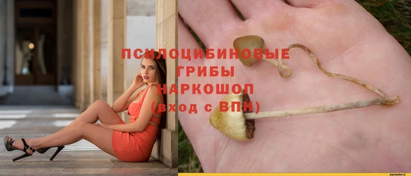 шишки Арсеньев
