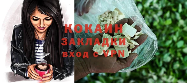 индика Армянск