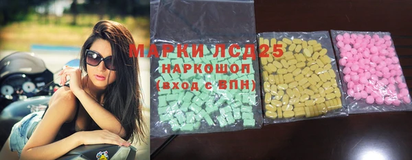 индика Армянск